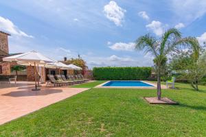 a pool with chairs and a palm tree in a yard at Can Sanchez in Campos