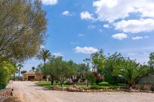 a dirt road with trees and a house at Can Sanchez in Campos