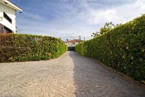 a cobblestone path between two hedge hedges at Apartamento Cali com Piscina in Apúlia