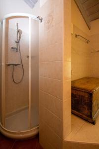 a shower with a glass door in a bathroom at Chalet Galli Trilocale in Livigno +12 photos