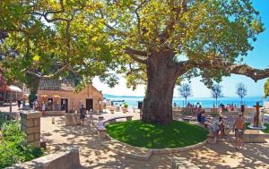 a tree in a park with people sitting under it at Sweet House in Mlini