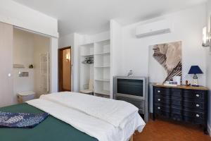 a bedroom with a bed and a television at Chambres D'hôtes Sous Le Pin in Les Sables-d'Olonne +58 photos