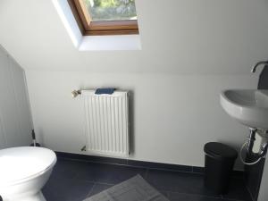 a bathroom with a white toilet and a sink at Ferienhaus Villa Wolffsschlucht in Oberzent +18 photos