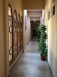 a hallway of a building with a plant on the side at Hotel Tiznit in Tiznit
