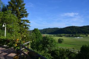 a view of a green field and a tree at Ferienparadies Bodensee Fewo1 in Owingen