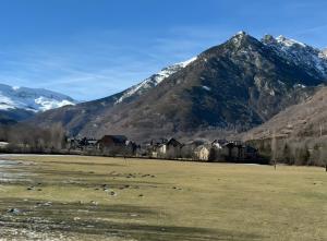 a field with snow capped mountains in the background at Casa Arguis in Eriste