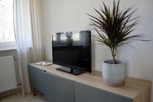 a tv sitting on a cabinet with a potted plant at Ferienwohnung No15 in Pfullendorf