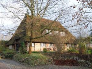a house with a thatched roof at Ole Schün Dannau in Oldenburg in Holstein