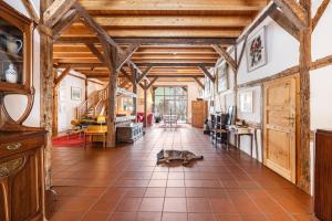 a cat laying on the floor in a room with wooden ceilings at Ole Schün Dannau in Oldenburg in Holstein