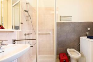 a bathroom with a shower and a toilet and a sink at le gite à Géo in Thoiry