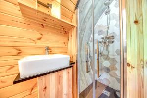 a bathroom with a sink and a shower at Otonneauxstress - Vigneron in Saint-Vivien-de-Médoc