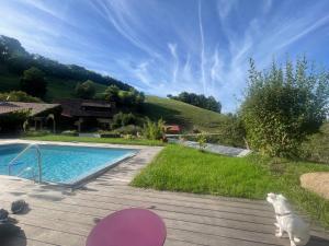 a white cat sitting on a deck next to a swimming pool at Gite Marie Rose in Sainte-Marie-aux-Mines +20 photos