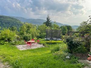 a garden with a table and chairs and a trampoline at Gullerhof Ferienwohnung - Köpfle in Glottertal