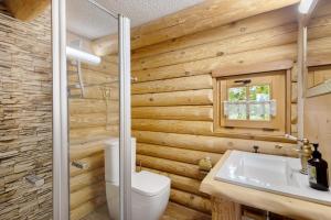 a bathroom with a toilet and a sink at Chalet am See - Vogtland Chalet in Bad Brambach