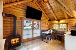 a living room with a wood stove in a log cabin at Chalet am See - Vogtland Chalet in Bad Brambach