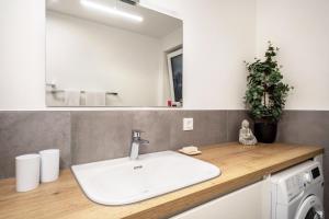 a bathroom with a sink and a mirror at Ländle Lodge bei Bregenz in Langen bei Bregenz +13 photos