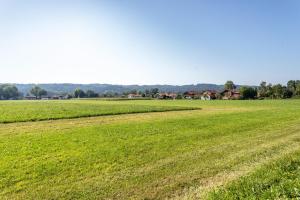 a field of green grass with houses in the background at Terralpin Apartments - 27qm in Bruckmühl