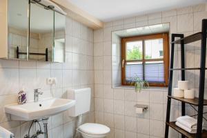 a bathroom with a toilet and a sink and a mirror at Felicitas in Tann