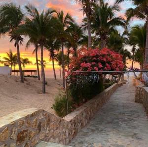 a pathway on the beach with palm trees and flowers at Casa del Vistas Pedregal in Cabo San Lucas