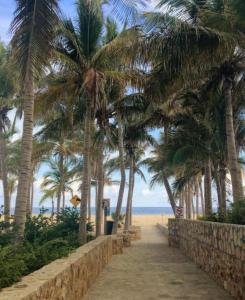 a path leading to a beach with palm trees at Casa del Vistas Pedregal in Cabo San Lucas
