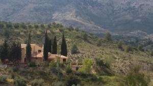 a house on a hill with cypress trees at Cortijo la Era in Castril
