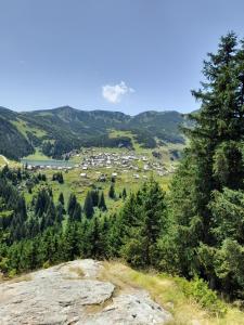 a view of a valley from a hill with trees at Bugojno Avantura in Donjići