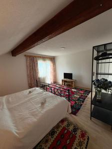 a bedroom with a bed and a television in it at Bugojno Avantura in Donjići