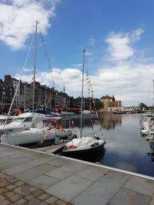 a group of boats docked in a harbor at Chalet Honfleur in Honfleur