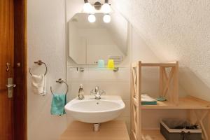 a bathroom with a sink and a mirror at Ferien Auf Dem Lande in Scheggerott +20 photos