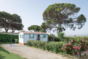 a small blue shed in a garden with flowers at Calma in Barbate