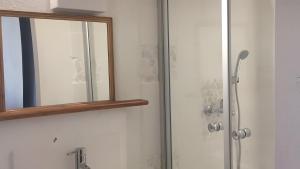 a mirror on a door next to a shower at Gemütliches Refugium im Klosterdorf in Neustadt am Rübenberge