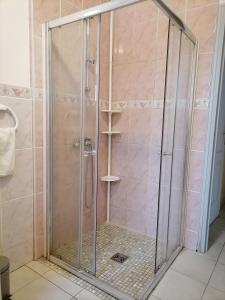 a shower with a glass enclosure in a bathroom at Le Gite du Champ de la Croix in Subligny
