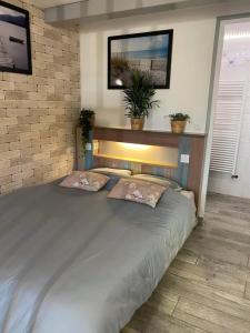 a bedroom with a large bed with two pillows at La Noisette in Équemauville
