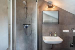a bathroom with a shower and a sink and a mirror at Apartment auf dem Land in Einbeck +28 photos