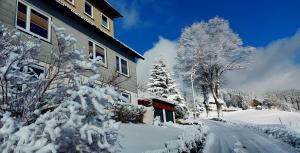 a house with snow covered trees next to a street at Ferienwohnung Wanne im Schwarzwald in Furtwangen