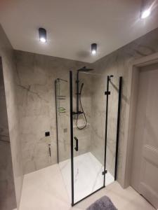 a shower with a glass door in a bathroom at Dom z Widokiem na Tatry- Luxury Chalet in Klikuszowa +48 photos