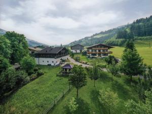 an aerial view of a village with houses and trees at Chalet Wolfbachgut in Taxenbach