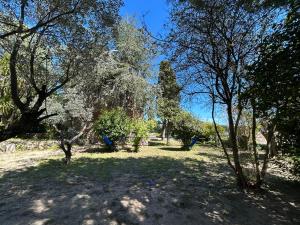 a park with trees and a blue object in the grass at Maison ROMIA in Fréjus +8 photos