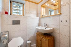 a bathroom with a sink and a toilet and a mirror at Altstadtidyll Meißen in Meißen +31 photos