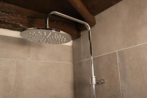 a shower with a shower head in a bathroom at Casa Elena Rustico storico a Corippo in Corippo