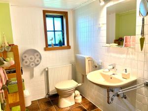 a bathroom with a toilet and a sink at Reetdachkate Müllerhaus von 1860 in Thalingburen +37 photos