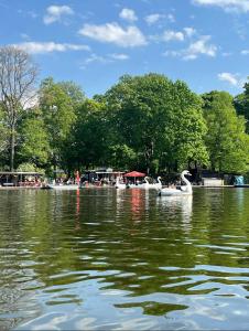 a lake with swans on the water and people in boats at Arminos Apartment Li in Chemnitz