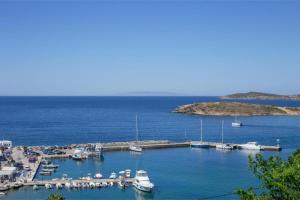 a group of boats docked at a dock in the water at Virginia’s house in Andros