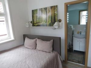 a bedroom with a bed and a mirror and a sink at Historischer Marktplatz in Spangenberg