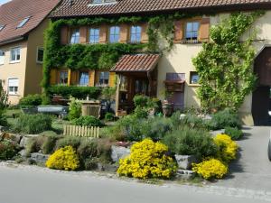 a garden in front of a building with yellow flowers at Schuler-Haus in Balingen