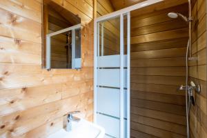 a bathroom with a shower and a sink and a mirror at Tiny House, Clim et Bassin in Auriac-du-Périgord