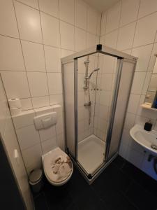 a bathroom with a shower and a toilet and a sink at Relax after work in Ochsenhausen