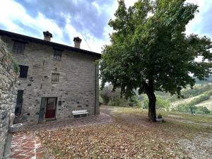a building with a tree and a bench next to it at La casa della nonna in Serramazzoni
