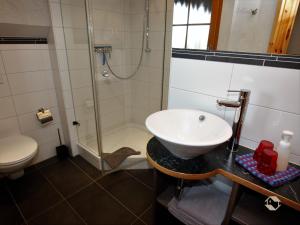 a bathroom with a sink and a shower and a toilet at Erlenhof in Todtnau +36 photos