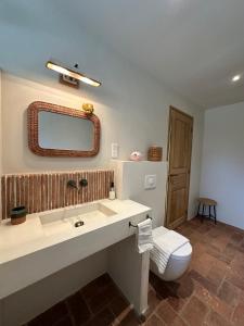 a bathroom with a sink and a toilet at Chambres d'hote Bergerie A Maredda in Murato